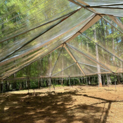 A transparent tent structure with a sloped roof is set up in a forested area, surrounded by trees and sunlight filtering through.