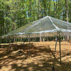 A large, transparent tent canopy is set up in a forest area under tall trees on a sunny day.
