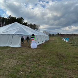 Large white tent on grass with an inflatable snowman in front; partly cloudy sky and trees in the background.