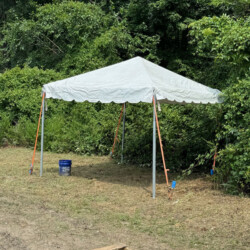 A white tent is set up on grassy ground, surrounded by green foliage, with a blue bucket and a wooden pallet nearby.